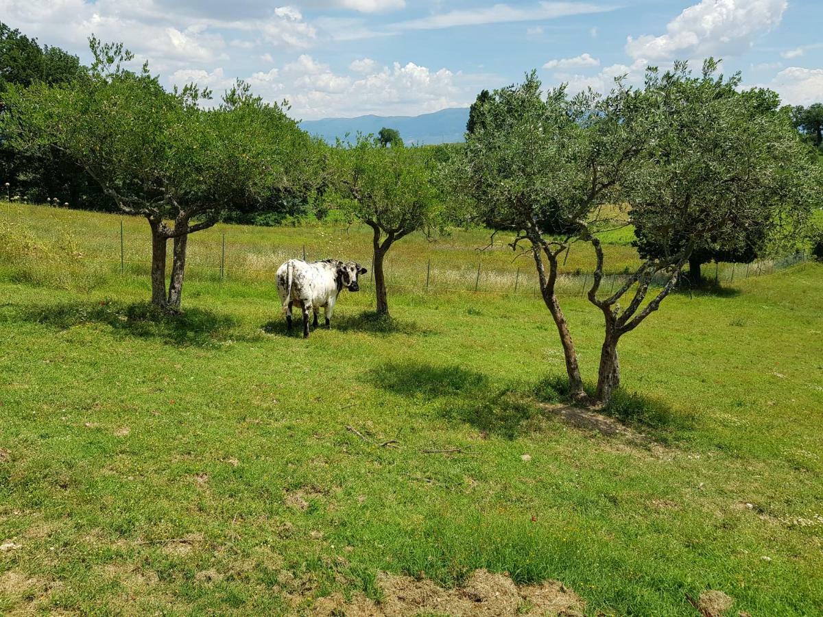 Agriturismo Arcobaleno Della Torretta Giano dell'Umbria Exterior photo
